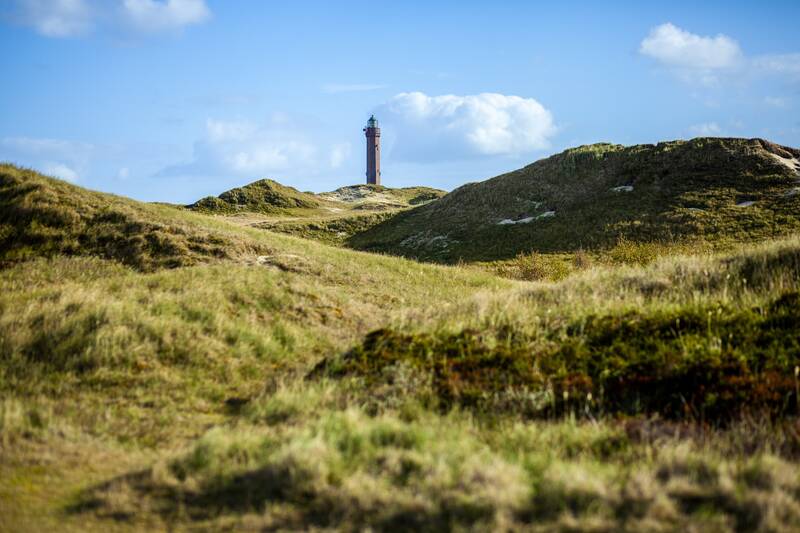 lighthouse, norderney, landscape, island, sky, mood, idyll, nature, north sea island of, lighthouse, lighthouse, lighthouse, lighthouse, lighthouse, norderney, norderney, norderney