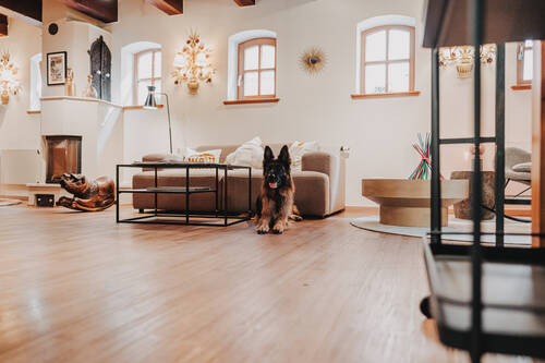 2025 08   Ulf Duda   Urlaub mit Hund (4)