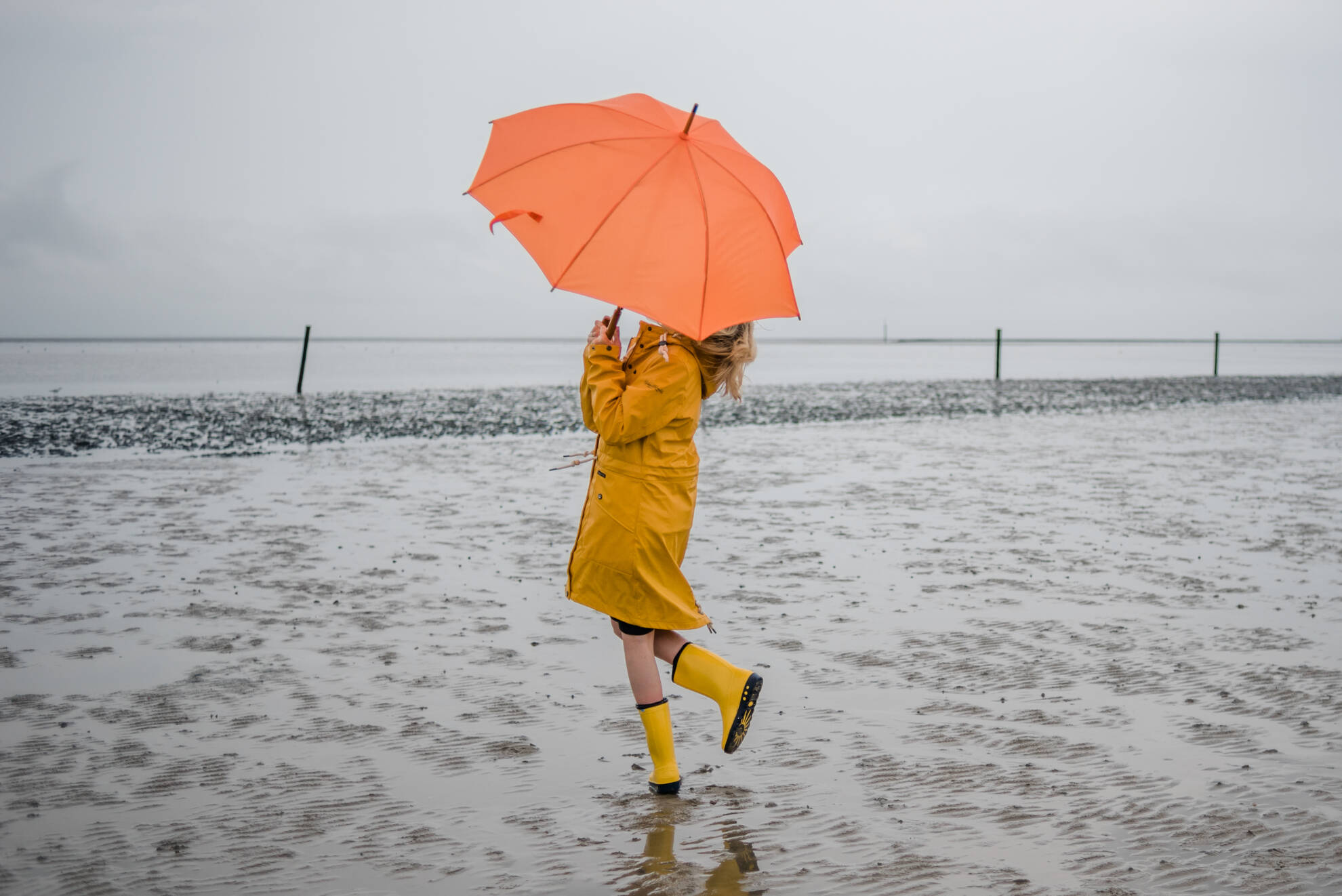 Blick über das Wattenmeer bei Norden in Ostfriesland