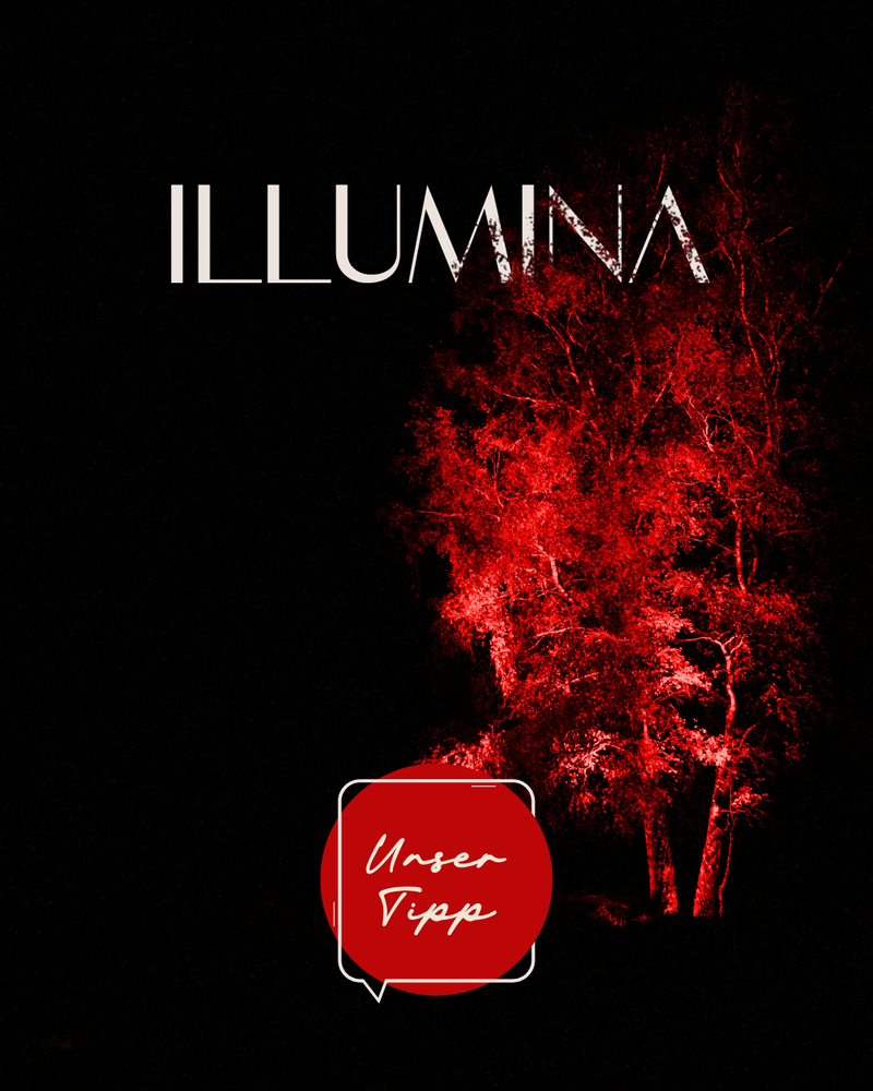events-erlebnisse/luetetsburger-illumina-2026-s214744