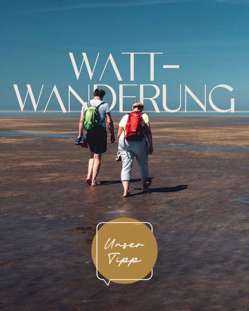 events-erlebnisse/oekologische-wattwanderung-s214717